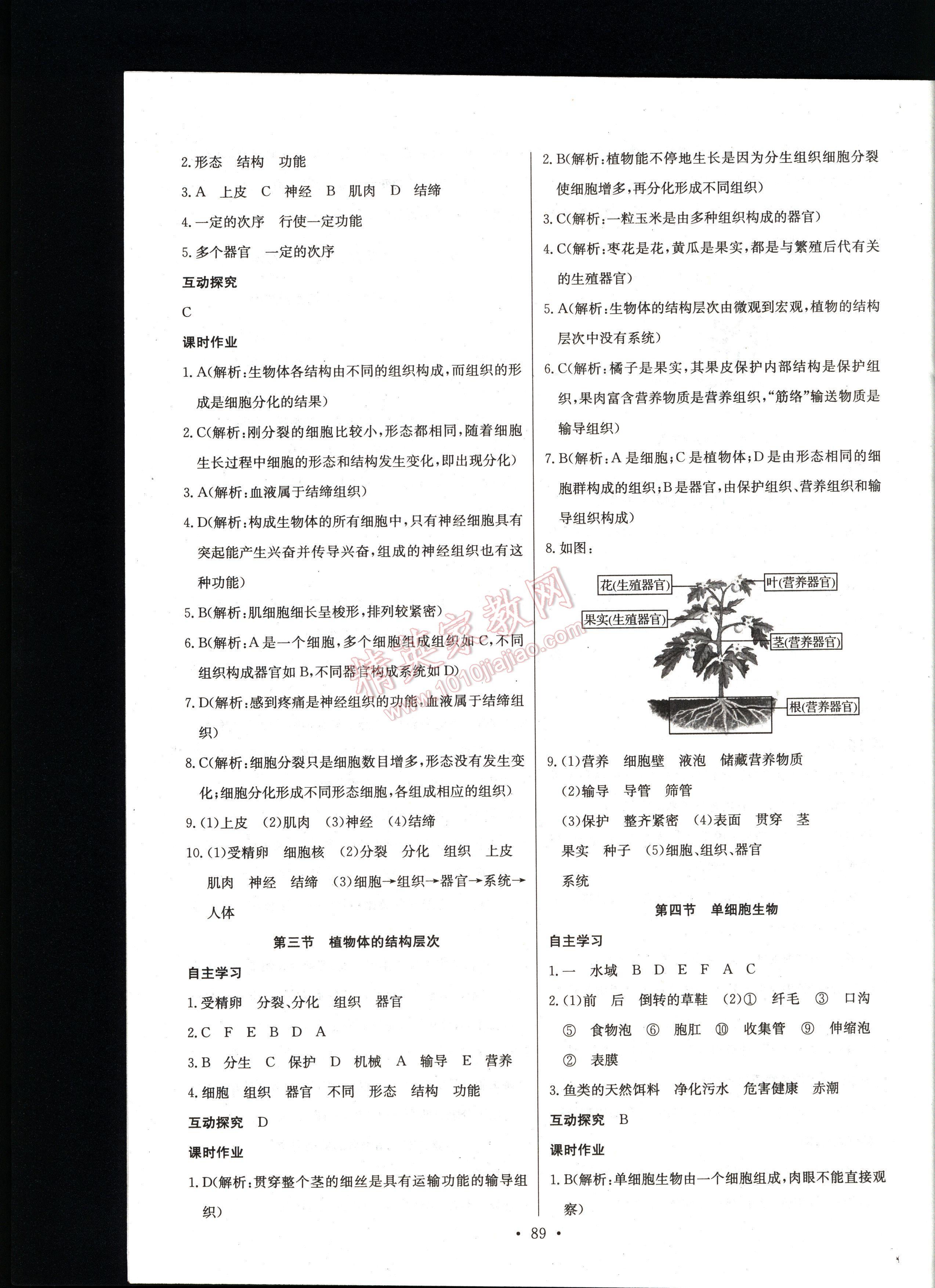 長(zhǎng)江全能學(xué)案同步練習(xí)冊(cè)生物學(xué)七年級(jí)上冊(cè)人教版 第89頁(yè)