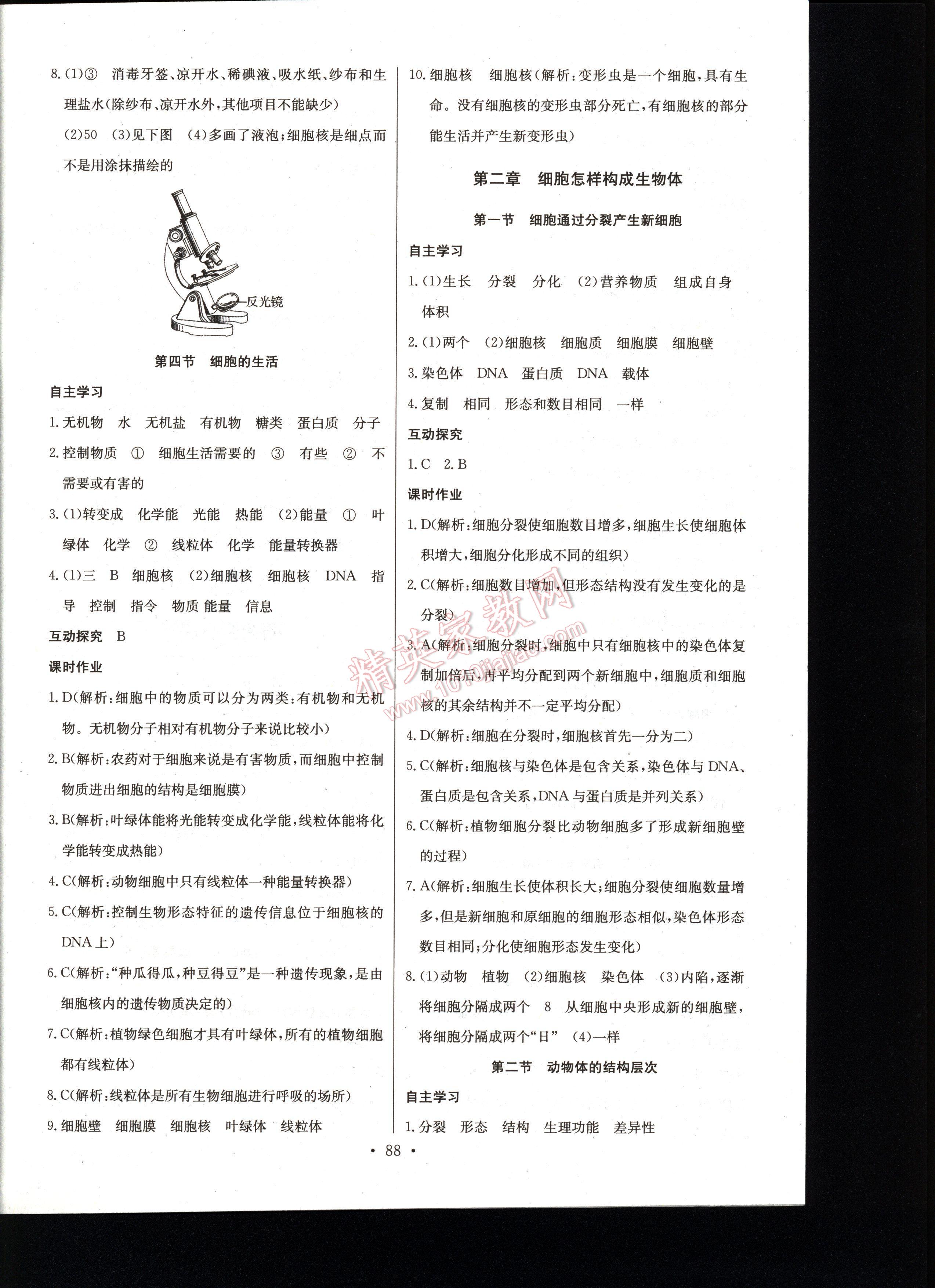 長江全能學(xué)案同步練習(xí)冊生物學(xué)七年級上冊人教版 第88頁