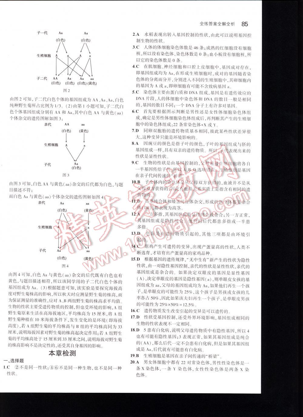 2016年5年中考3年模擬初中生物八年級(jí)下冊(cè)人教版 第85頁(yè)