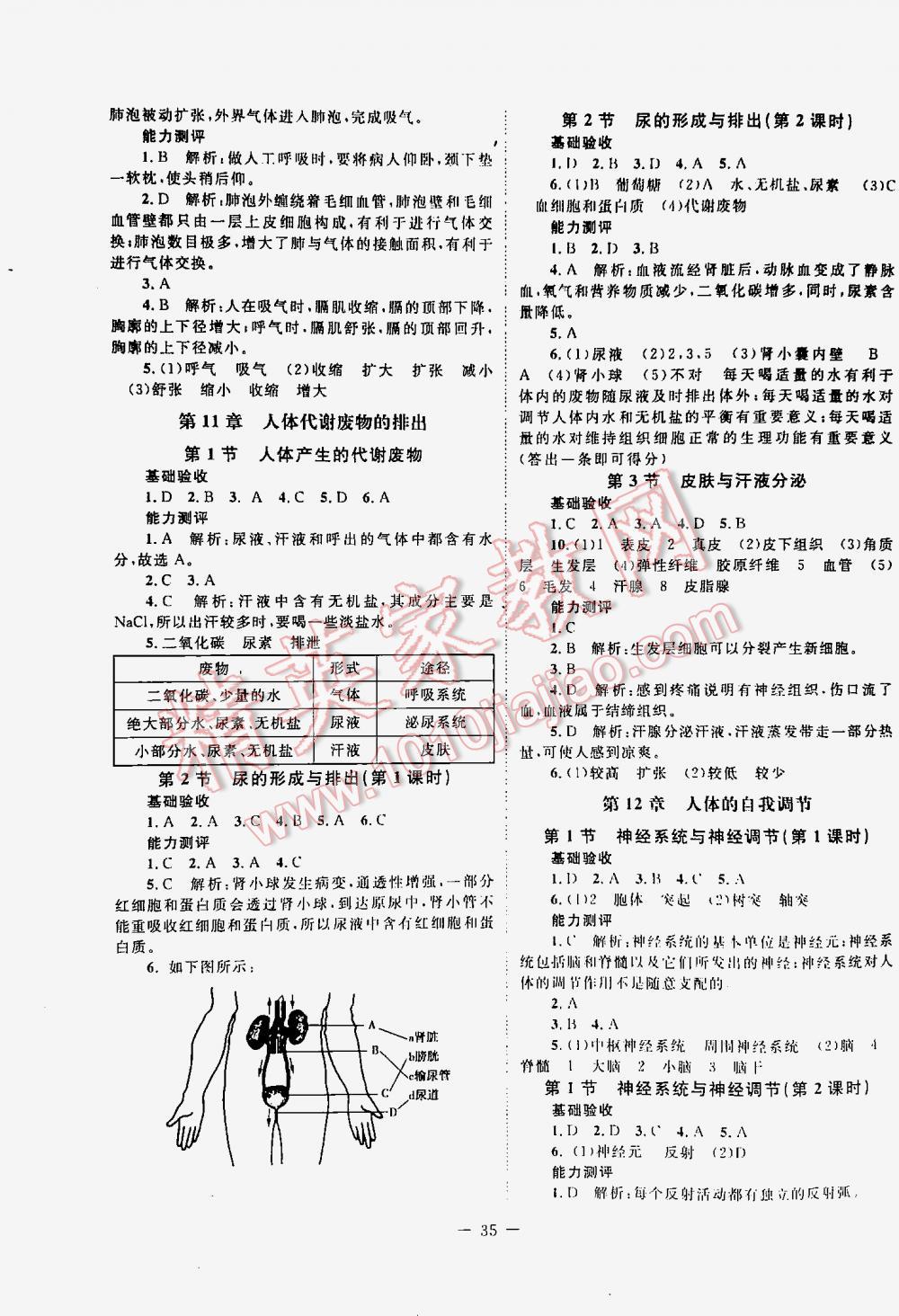 2016年课堂精练七年级生物下册北师大版 第35页