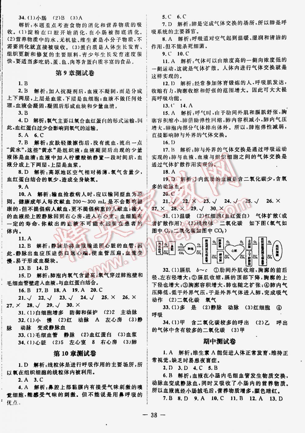 2016年課堂精練七年級生物下冊北師大版 第38頁