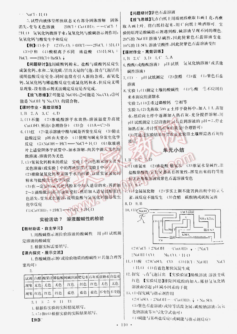 2016年能力培养与测试九年级化学下册人教版 第110页