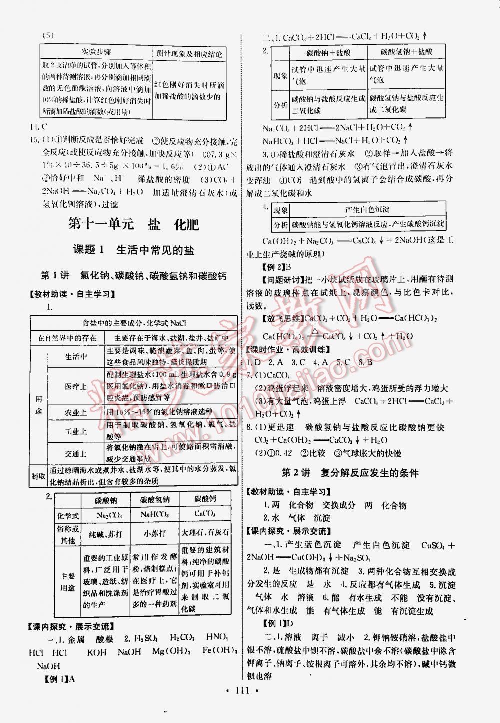 2016年能力培养与测试九年级化学下册人教版 第111页