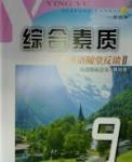 2016年綜合素質學英語隨堂反饋Ⅱ九年級總復習模擬卷