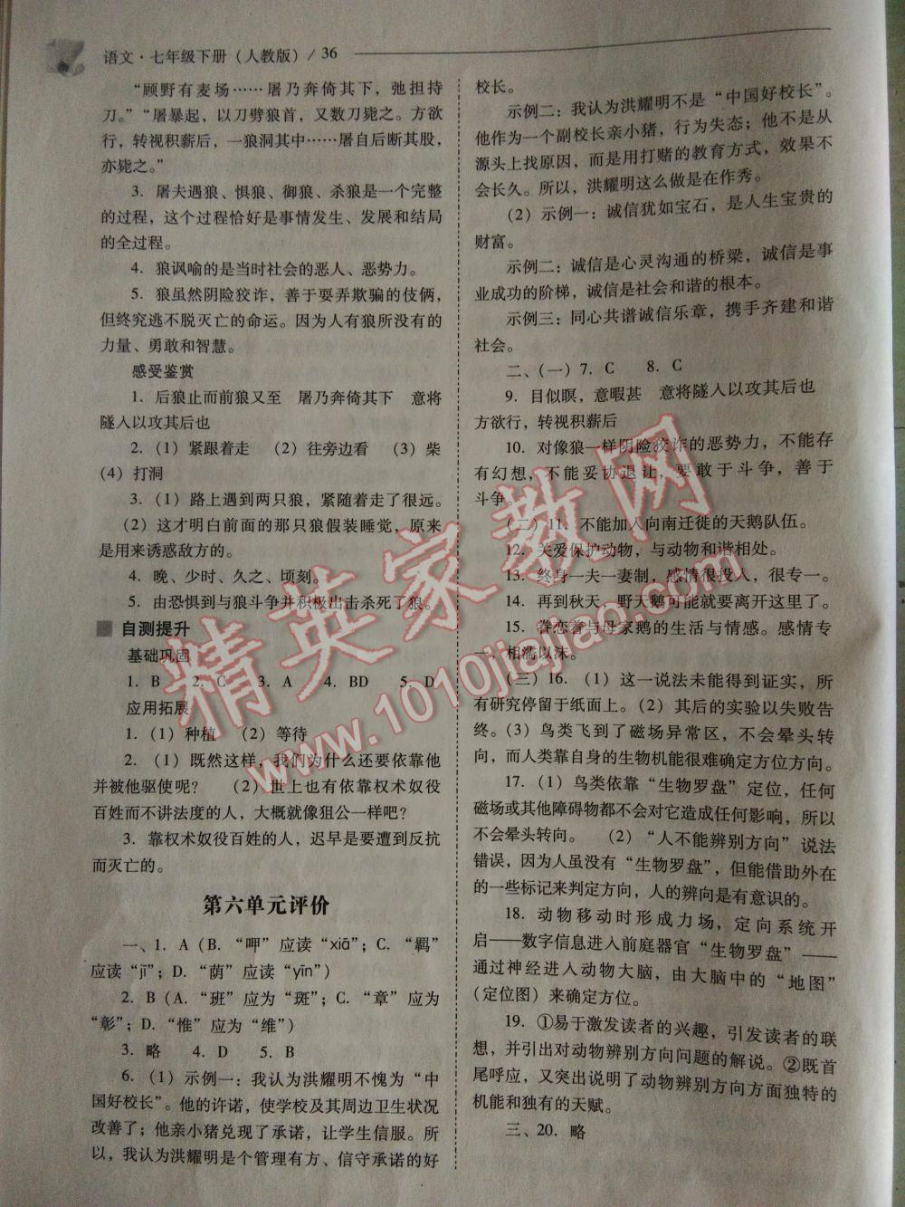 2016新課程問題解決導(dǎo)學(xué)方案七年級(jí)語文下冊(cè)人教版 第36頁