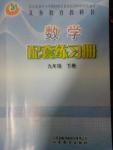2020年配套練習冊九年級數學下冊魯教版五四制山東教育出版社