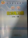 2020年配套練習(xí)冊九年級數(shù)學(xué)下冊魯教版五四制山東教育出版社