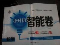 2019年小升初智能卷數學人教版