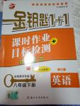 2019年金鑰匙1加1課時(shí)作業(yè)加目標(biāo)檢測八年級英語下冊鹽城泰州專版