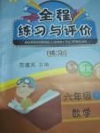 2020年全程練習(xí)與評(píng)價(jià)六年級(jí)數(shù)學(xué)下冊(cè)人教版練習(xí)專版