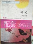 2020年語(yǔ)文配套綜合練習(xí)八年級(jí)下冊(cè)人教版甘肅教育出版社