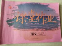 2020年文曲星課堂作業(yè)七年級(jí)語(yǔ)文下冊(cè)人教版