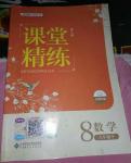 2020年课堂精练八年级数学下册北师大版河北专用