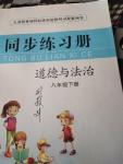 2020年同步練習冊八年級道德與法治下冊人教版山東科學技術(shù)出版社