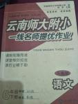 2020年云南師大附小一線名師提優(yōu)作業(yè)六年級(jí)語文下冊(cè)人教版