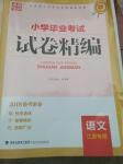 2019年小學(xué)畢業(yè)考試試卷精編六年級(jí)語(yǔ)文下冊(cè)蘇教版