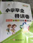 2020年小學(xué)畢業(yè)特訓(xùn)卷六年級(jí)語(yǔ)文全一冊(cè)人教版