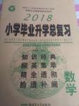 2018年小學畢業(yè)升學總復(fù)習六年級數(shù)學人教版