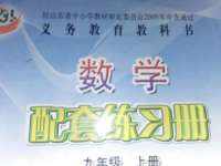 2020年配套練習(xí)冊(cè)九年級(jí)數(shù)學(xué)上冊(cè)魯教版