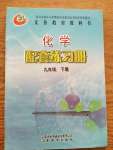 2020年配套練習(xí)冊(cè)九年級(jí)化學(xué)下冊(cè)魯教版五四制山東教育出版社