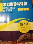 2019學(xué)習指導(dǎo)與評價同步集訓(xùn)七年級數(shù)學(xué)下冊