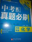 2020年中考真題必刷化學(xué)河南專版