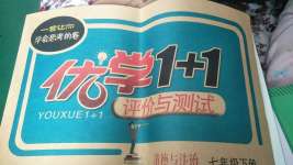 2020优学1+1评价与测试七年级道德与法治下册人教版