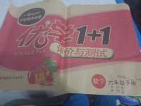 2020年優學1+1評價與測試六年級數學下冊