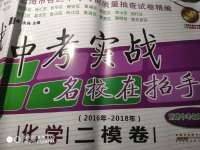 2020年中考實戰(zhàn)名校在招手化學二模卷