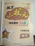 2020年英才小狀元同步優(yōu)化練與測六年級數學下冊人教版