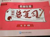 2020年勝券在握初中總復(fù)習(xí)歷史