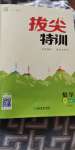 2020年拔尖特訓(xùn)七年級(jí)數(shù)學(xué)下冊(cè)人教版