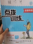 2020年點撥訓練九年級化學下冊人教版安徽專版