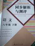 2020年勝券在握同步解析與測評六年級語文下冊人教版重慶專版