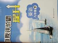 2020年自我評(píng)價(jià)與提升八年級(jí)英語(yǔ)下冊(cè)譯林版