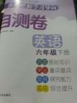 2020年單元自測卷六年級英語下冊人教版