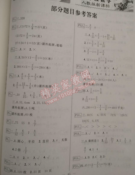 2015年快樂假期寒假作業(yè)六年級數(shù)學人教版延邊人民出版社 0