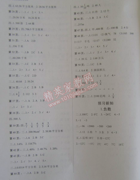 2015年新思维寒假作业六年级数学人教版 0