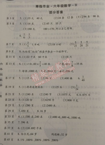 2015年智趣寒假作业六年级数学人教版 0