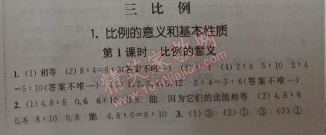 2014年通城學(xué)典課時作業(yè)本六年級數(shù)學(xué)下冊人教版 3.1.1