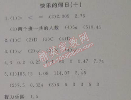 2015年寒假新天地寒假作業(yè)五年級(jí)數(shù)學(xué)人教實(shí)驗(yàn)版 10