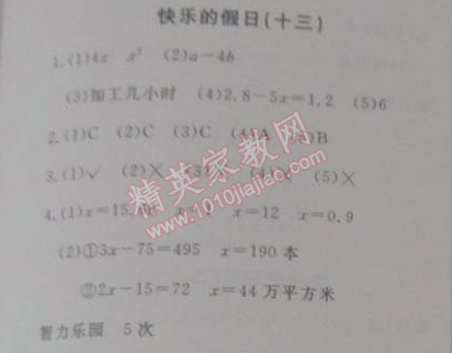 2015年寒假新天地寒假作業(yè)五年級數(shù)學(xué)人教實驗版 13