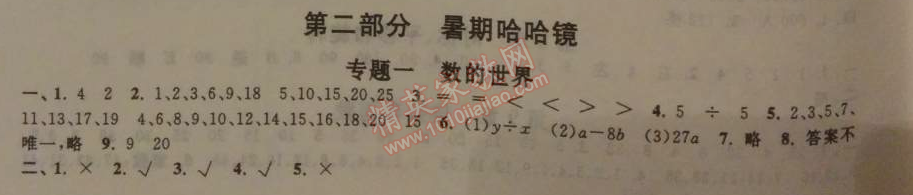 2014年暑假大串联小学版四年级数学江苏版 第二部分1