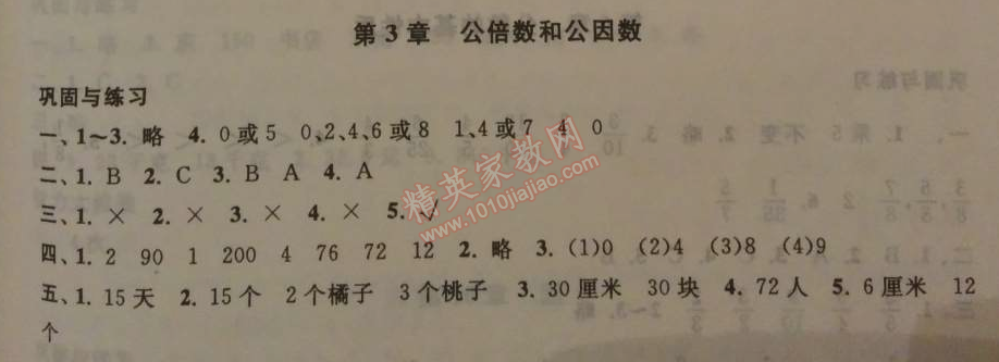 2014年暑假大串联小学版五年级数学江苏版 3