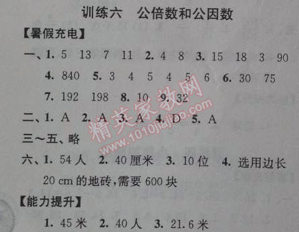 2014年小学数学暑假接力棒五升六年级江苏版 6