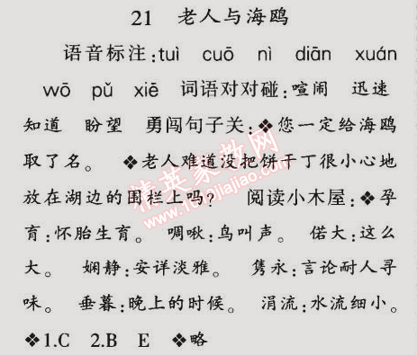 2014年同步輕松練習(xí)六年級語文上冊人教版 21