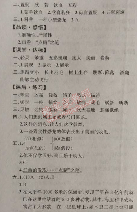 2014年同步導(dǎo)學(xué)案課時練四年級語文上冊人教版河北專版 31. 飛向藍(lán)天的恐龍  ?徐星