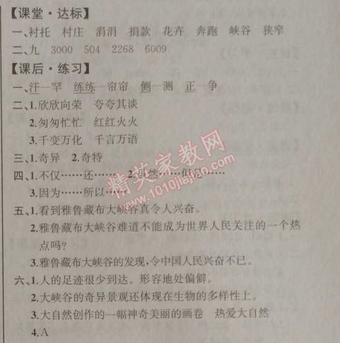 2014年同步導(dǎo)學(xué)案課時(shí)練四年級(jí)語文上冊人教版河北專版 2. 雅魯藏布大峽谷  楊逸疇