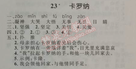 2014年小學(xué)同步測控優(yōu)化設(shè)計四年級語文上冊人教版 23. 卡羅納  亞米契斯（意大利）