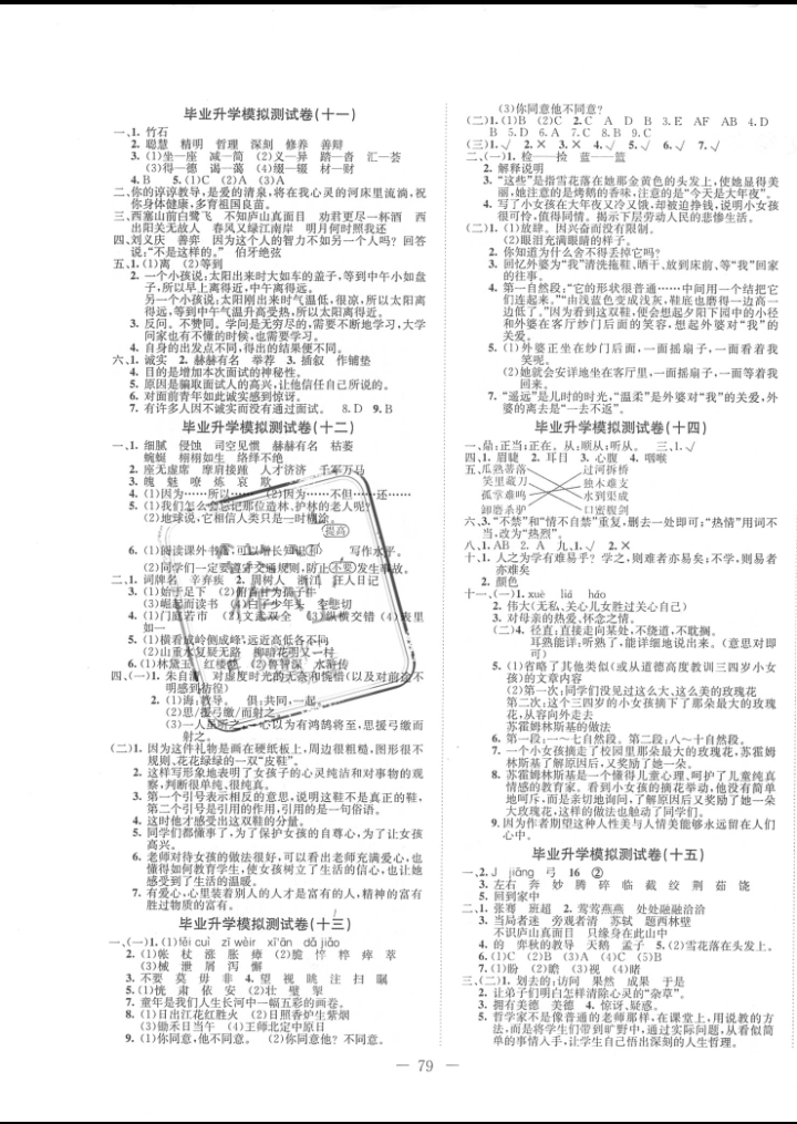 2016年走进名校小学毕业升学模拟测试卷语文 第3页